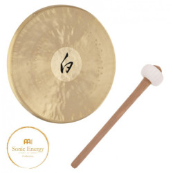 MEINL SBSE800 - Singing...