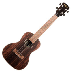 GUITARE BLACKSTAR Fly 3 BT...